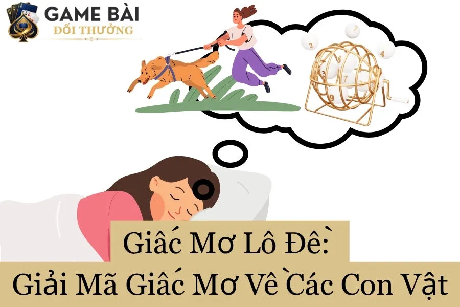 Giấc mơ lô đề giải mã giấc mơ về con vật